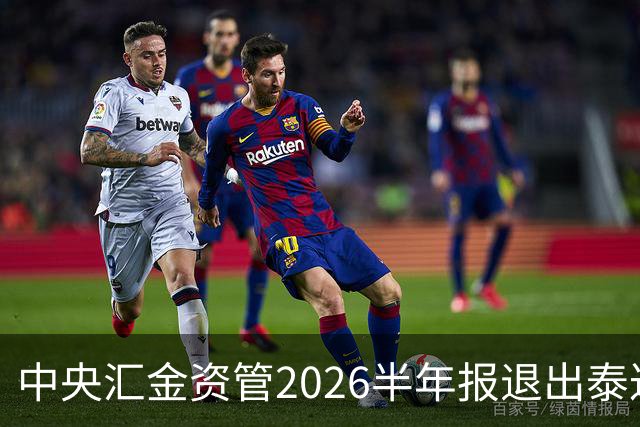 中央汇金资管2026半年报退出泰达股份前十大股东名单