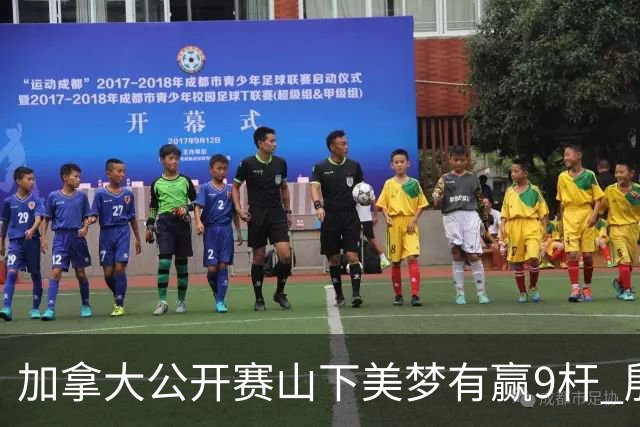 加拿大公开赛山下美梦有赢9杆 殷若宁刘艳跻身前十