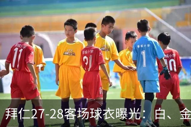 拜仁27-28客场球衣曝光：白、金配色辅以海军蓝和酒红色细节