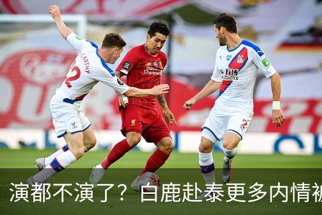演都不演了？白鹿赴泰更多内情被扒，众星被连带，难怪不取消活动