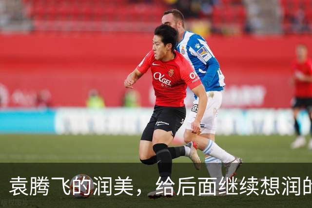 袁腾飞的润美，给后面继续想润的人敲响了警钟
