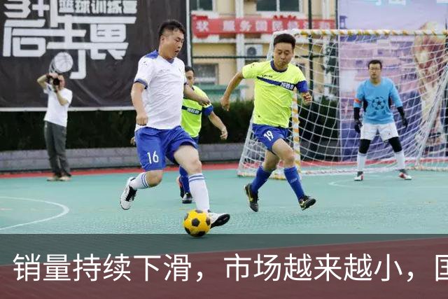 销量持续下滑，市场越来越小，国内车企还能撑多久？